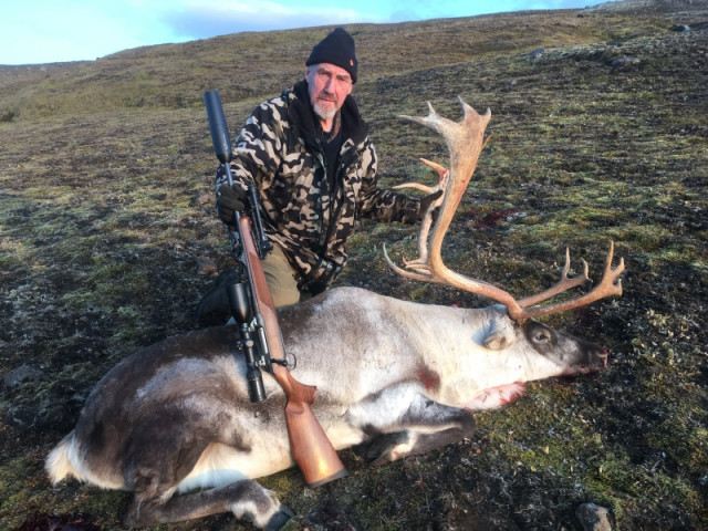 Ketill með tarfinn langt uppi í Stóra-Svalbarði.