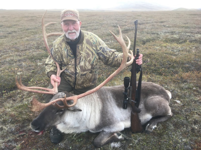 Gulli Konn með tarfinn við Vopnafjarðarvegamótin.