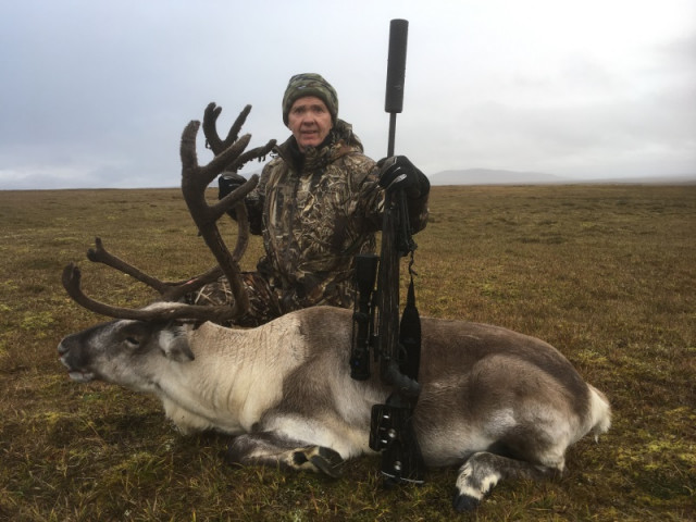 Björn Þorgríms. með tarfinn í suddanum.