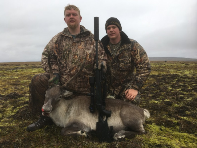 Magni Smárason ásamt bróðir sínum við kúna.