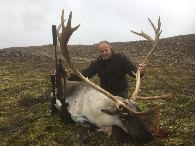 Kollath við tarfinn.
