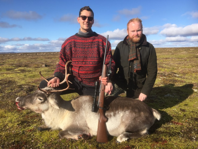 Jóhannes við kúna ásamt félaga sínum Davíð.