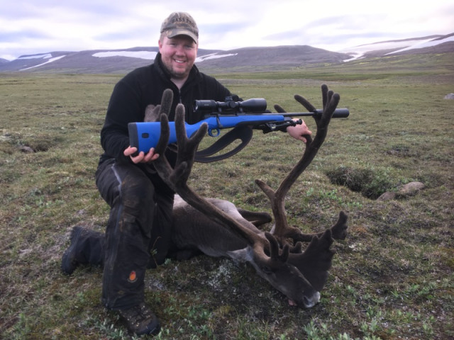 Stefán með aldinn öræfahrein með mjög sver og lagleg horn.