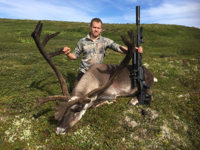Gylfi Frímannsson við tarfinn og má vart milli sjá hvor er myndarlegri.