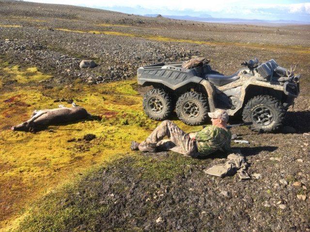 Það er ekki asinn.