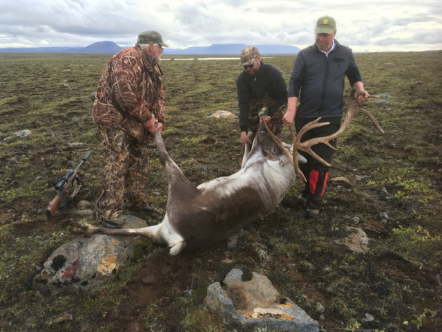 Það er hálfgerð Gylfaginning að kljást við stóra bola.