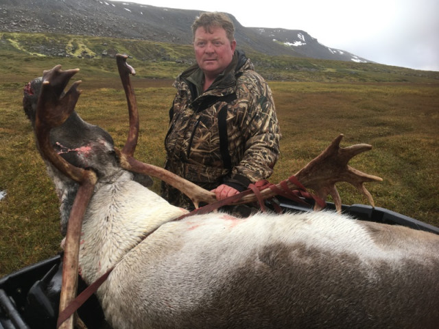Benedikt Ólason með tarfinn sem var felldur með skoti í ennið af 35 metra færi.