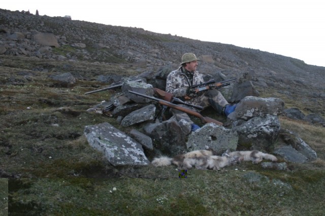 ,,Hann hlustar og bíður og bærist ei&quot;. Skima og hlusta ávallt reiðubúinn.  Mynd Sv.P.