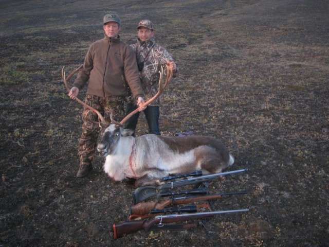 Jónas og Hallgrímur standa yfir föllnum tarfi og vopnasafni.