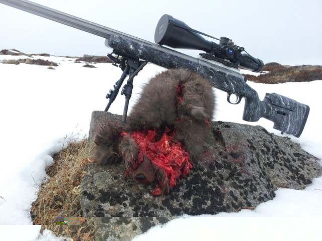 páskamyndir2012 026.jpg